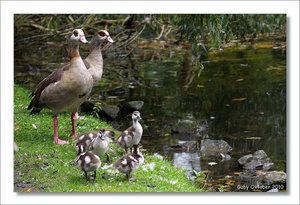 SDIM1326.jpg SDIM1326.jpg