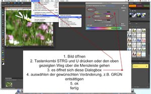 saettigung1.jpg saettigung1.jpg