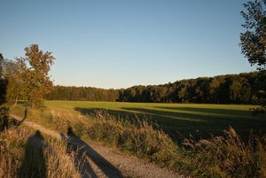 firmware-SDIM0218.jpg firmware-SDIM0218.jpg