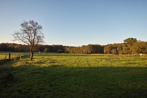 firmware-SDIM0221.jpg firmware-SDIM0221.jpg