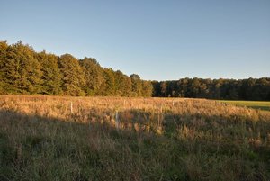 firmware-SDIM0225.jpg firmware-SDIM0225.jpg