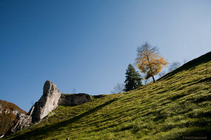 1shot1moment@bilderforum (1 von 1).jpg