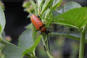 Begegnung-SD10 - IMG07442.jpg