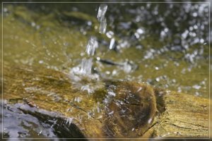 Wasser-SD10 - IMG07432.jpg