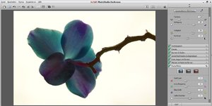 Bildschirminhalt erfassen-1.jpg