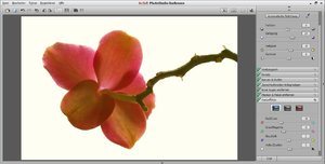 Bildschirminhalt erfassen-1.jpg