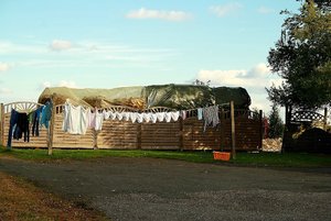 compBirkeundUnterhosencompBirkeundUnterhosenBirke und Unterhosen.jpg