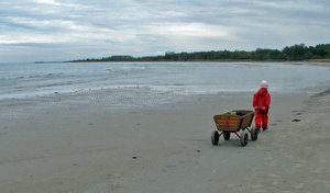 comp_bollwagen mädchenmini.jpg