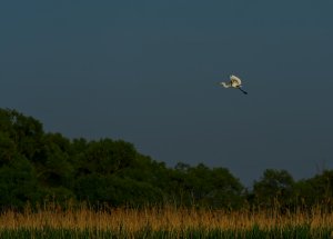 _20181216_102640.JPG _20181216_102640.JPG