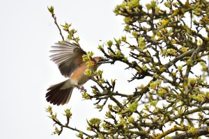 _DSC1140_00001_DSC1140.jpg _DSC1140_00001_DSC1140.jpg