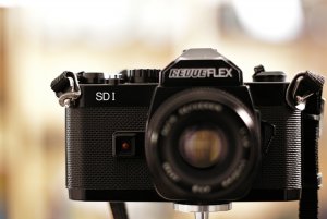 2019-01-05_REVUEFLEX_DSC0957.jpg 2019-01-05_REVUEFLEX_DSC0957.jpg