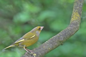 comp_7.jpg comp_7.jpg