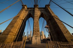 20180521_1V9A7856_1920.jpg 20180521_1V9A7856_1920.jpg