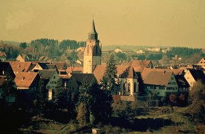 DSC02447dorn.jpg DSC02447dorn.jpg