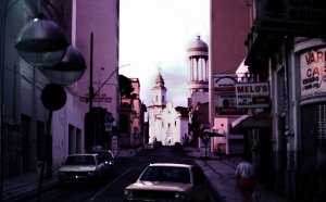 DSC02467bras.jpg DSC02467bras.jpg