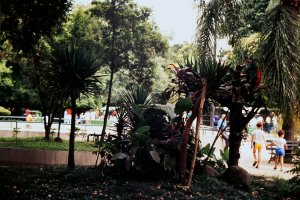 DSC02468bras.jpg DSC02468bras.jpg