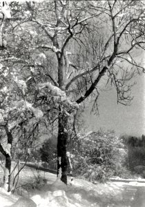 DSC02528Retr320.jpg DSC02528Retr320.jpg