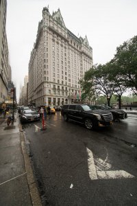 20180519_1V9A7151_1920.jpg 20180519_1V9A7151_1920.jpg