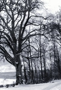 DSC02524Retr 320.jpg DSC02524Retr 320.jpg