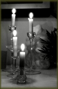 DSC02552foma400.jpg DSC02552foma400.jpg