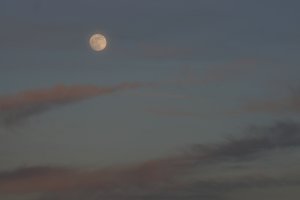 FB DSC08607 Nex5r + Jupiter 37A 3,5 135mm(c)PPf.jpg