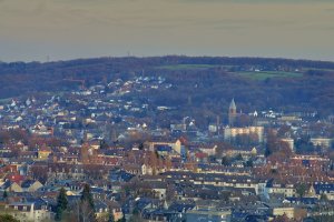 FB DSC0861012 Nex5r + Jupiter 37A 3,5 135mm(c)PPf.jpg