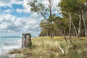 1500_+R7R202003-Bearbeitet-Bearbeitet.jpg 1500_+R7R202003-Bearbeitet-Bearbeitet.jpg