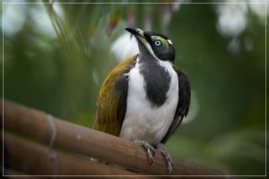 1500_+RA6502073_1.jpg 1500_+RA6502073_1.jpg