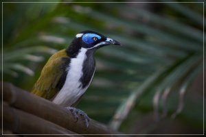 1500_+RA6502179.jpg 1500_+RA6502179.jpg