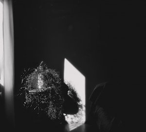 DSC02623Foma400 6 x 6.jpg