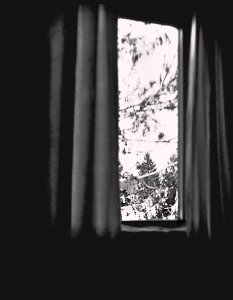 DSC02622Foma400Fenst 6 x 6.jpg