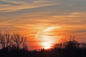 P2180023A.jpg P2180023A.jpg