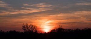 P2180018A.jpg P2180018A.jpg