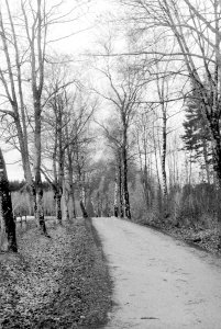 DSC02713Retro 320-35Weg.jpg DSC02713Retro 320-35Weg.jpg