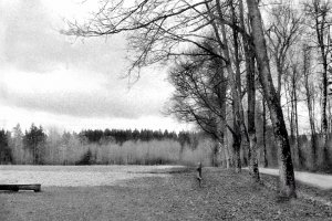 DSC02717Retro320-35Wald.jpg DSC02717Retro320-35Wald.jpg