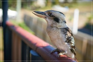 1500_+R7R202609.jpg 1500_+R7R202609.jpg