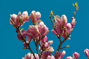 SDIM6120.jpg SDIM6120.jpg