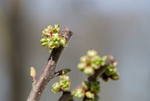 IMGP4136.jpg IMGP4136.jpg