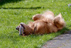 IMGP4151.jpg IMGP4151.jpg