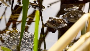 HD_P1330687.jpg HD_P1330687.jpg