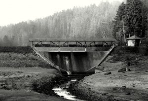 DSC02324Apx 100Nagoldtal.jpg