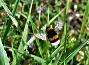 DSC_0123-3.jpg DSC_0123-3.jpg