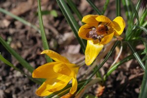 IMGP4578.jpg IMGP4578.jpg