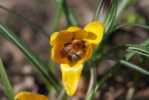 IMGP4580.jpg IMGP4580.jpg