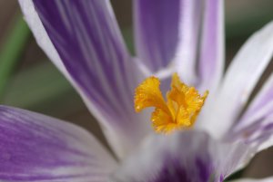 IMGP4582.jpg IMGP4582.jpg