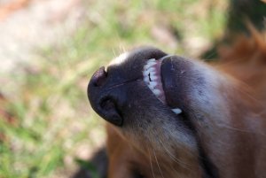 IMGP4586.jpg IMGP4586.jpg