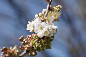 IMGP4589.jpg IMGP4589.jpg