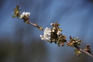 IMGP4635.jpg IMGP4635.jpg