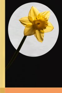 für Fotoforum-4.jpg