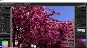 Screenshot (17)_x.jpg